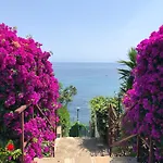 La Casa Di Viola