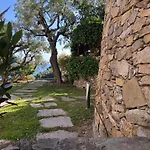 Villa Degli Ulivi B&B