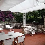 Olivo House 2