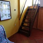 Appartamento Rosa