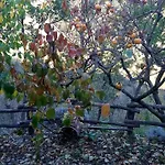 Casa Millin