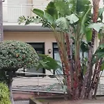 Casa Colibri Bordighera Appartamento 80Mt Dal Mare