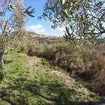 Agriturismo In Ca' De Maria Di Conti