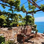 Casa Della Vite