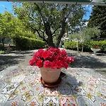 Rosy Apartment - Levanto, 5 Terre