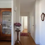La Mia Casa A Levante
