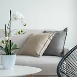Sea Breeze Flat, Terre Marine