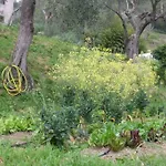 Agriturismo Le Calle