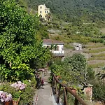 la terrazza sul mare