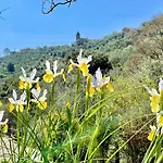 Colline d'Argento