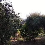 La Porta Del Sole Appartamento Nell'Oliveto