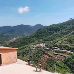 Il Caligo