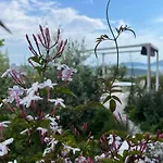Camera Hortensia By Le Rose