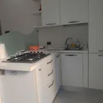 Zampino 49