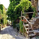 Albero Maestro On Bussana Seaside