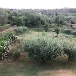 Ariabuona