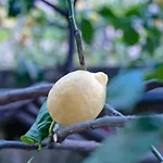 Appartamento Rita