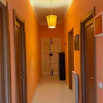 Amazing Grace Apartment