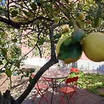 Apartment With Private Garden