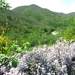 Agriturismo Il Giglio E La Rosa