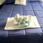 Dream To Fly