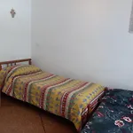Rosy House