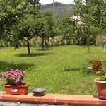 Albergo Dei Tigli
