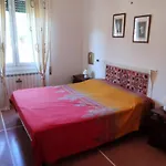 Il Pino