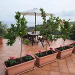 Terrazza Degli Agrumi