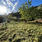 Ac & Garden Olive Grove Oasis