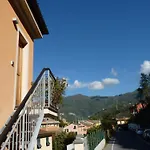 La Gerbera