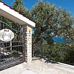 Tra Gli Ulivi