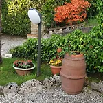 Bargoncello