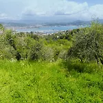 Gli Ulivi Sul Golfo E Le 5 Terre