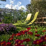 Il Giardino Dei Pavoni