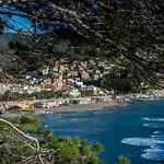 Residence Paradiso Monolocale 306