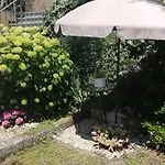 Il Giardino Degli Ulivi