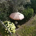 Il Giardino Degli Ulivi
