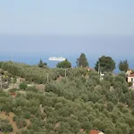 Le Navi In Cielo