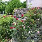 Il Giardino Di Piero - Lt-0029