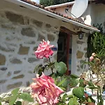 Villa D'Arte