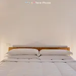 La Cicala, Terre Marine