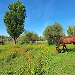 La Casa Di Maja