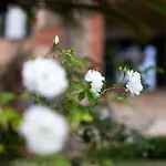 Villa Rappis