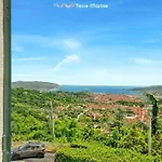 Reborn House, Terremarine