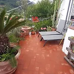 Elci