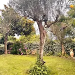 Villa Vecchia Fontana