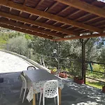 Villa Degli Ulivi