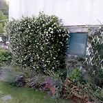 L'Erbetta Fra Le Cinque Terre E La Val Di Vara