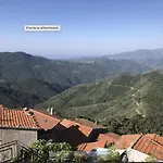 Silent View